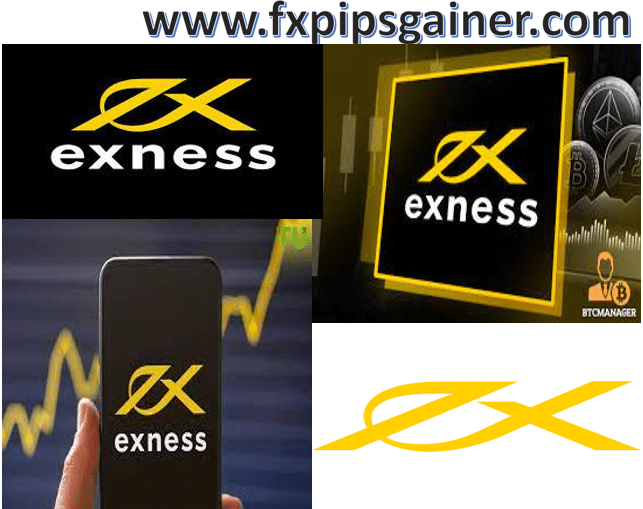 Understanding the Exness Login Area Access Your Trading Account Understanding the Exness Login Area Access Your Trading Account