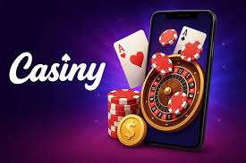 Casiny Review Unveiling a New Era in Online Gaming
