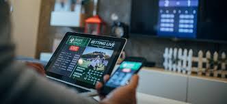 Descubra o Mundo do Entretenimento na 656bet